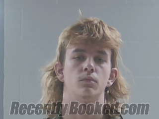 Recent Mugshot Image for DRAKE PAUL BOUDREAUX in Livingston Parish, Louisiana