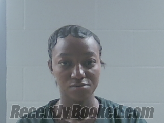 Recent Mugshot Image for DIAMOND MARIE MCELWEE in Livingston Parish, Louisiana