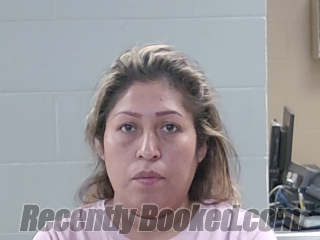 Recent Mugshot Image for CRISELDA CRISPIN MARTINEZ in Livingston Parish, Louisiana