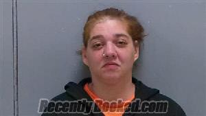 Recent Mugshot Image for STACY NICOLE MCDONALD in Darlington County, South Carolina