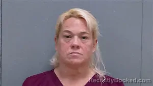 Recent Mugshot Image for LORI BAILEY WILLIAMSON in Darlington County, South Carolina
