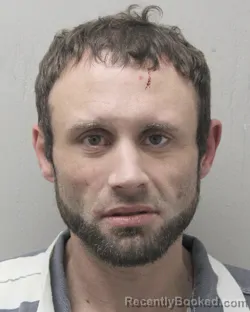 Recent Mugshot Image for BRANDT JAMES HEBERT in Vermilion Parish, Louisiana