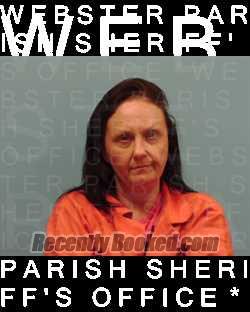 Recent Mugshot Image for JAMIE NICOLE SAYERS in Webster Parish, Louisiana