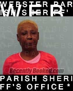 Recent Mugshot Image for DEBORAH ANN JENKINS in Webster Parish, Louisiana