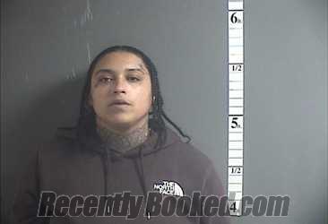 Recent Mugshot Image for SHANIECE M MORRIS in Cumberland County, New Jersey
