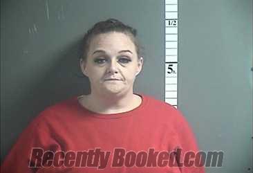 Recent Mugshot Image for DANIELLE M WALSH in Cumberland County, New Jersey