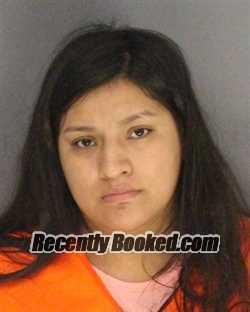 Recent Booking / Mugshot for JOSSELYN RAMON in Essex County, New Jersey