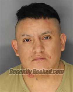 Recent Mugshot Image for CHRISTIAN D GUASHPA CASTRO in Essex County, New Jersey