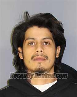 Recent Mugshot Image for ERICKSON G GALICA in Essex County, New Jersey