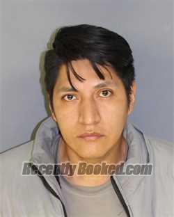 Recent Mugshot Image for XAVIER P TENENAULA GUALLI in Essex County, New Jersey