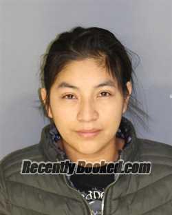 Recent Mugshot Image for BLANCA N NAJERA HERNANDEZ in Essex County, New Jersey