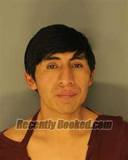 Recent Mugshot Image for LUIS F MAIGUA in Essex County, New Jersey