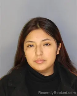 Recent Mugshot Image for DOLORES M LLIGUICOTA CAIZAN in Essex County, New Jersey