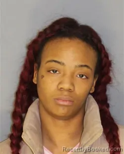 Recent Mugshot Image for BRANIYYAH C WHITE in Essex County, New Jersey