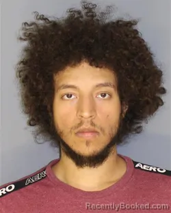 Recent Mugshot Image for CHRISTOPHER MENA TOCA in Essex County, New Jersey