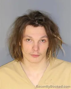 Recent Mugshot Image for GABRIEL FIORE in Essex County, New Jersey