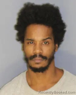 Recent Mugshot Image for JAGAIN L WILCOX in Essex County, New Jersey