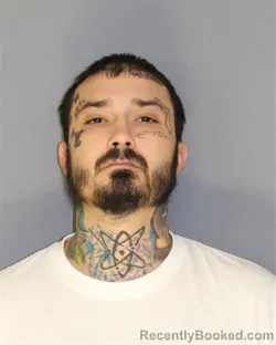 Recent Mugshot Image for DOMINIC TARTAGLIA in Essex County, New Jersey