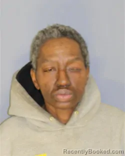 Recent Mugshot Image for NAKIA CRIBB in Essex County, New Jersey