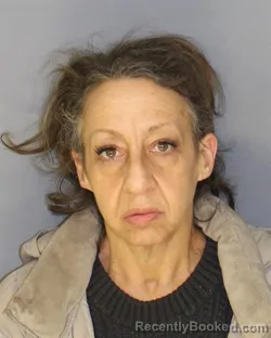 Recent Mugshot Image for DANA DAMIANO in Essex County, New Jersey