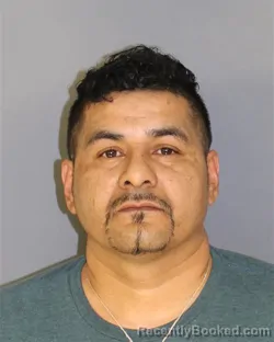 Recent Mugshot Image for JOSE MERCADOHERNANDEZ in Essex County, New Jersey