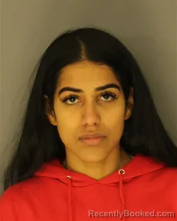 Recent Mugshot Image for YANAIRI S DELVILLAR in Essex County, New Jersey