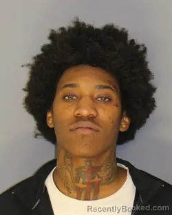 Recent Mugshot Image for NASHAIA D JOHNSON in Essex County, New Jersey