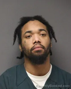 Recent Mugshot Image for MARCUS M HIRSCHFELD in Ocean County, New Jersey