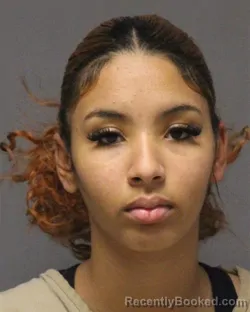 Recent Mugshot Image for JESSELIN GARCIA in Ocean County, New Jersey