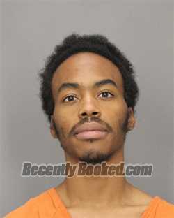 Recent Mugshot Image for NIKELL R BROWN in Salem County, New Jersey