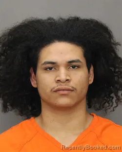 Recent Mugshot Image for ANGEL J PINEDA ALVARADO in Salem County, New Jersey