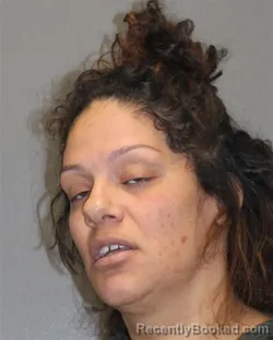 Recent Mugshot Image for ZIOMARA RIVERA in Salem County, New Jersey