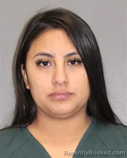 Recent Mugshot Image for ANAHI K MENDOZA MENESES in Salem County, New Jersey