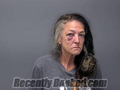 Recent Mugshot Image for SHAMRA K DANIEL in Baxter County, Arkansas