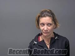 Recent Mugshot Image for LISA J JASON in Baxter County, Arkansas