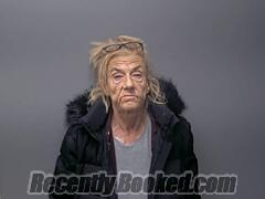 Recent Mugshot Image for BRENDA C BURNS in Baxter County, Arkansas