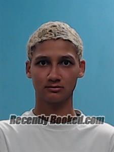 Recent Mugshot Image for Brianne Roxanne Norman in Boone County, Arkansas