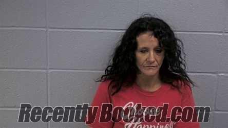 Recent Mugshot Image for BRIDGETTE L CRAFT in Cleburne County, Arkansas