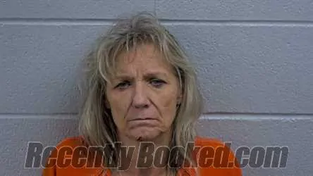 Recent Mugshot Image for REVA L NELSON in Cleburne County, Arkansas