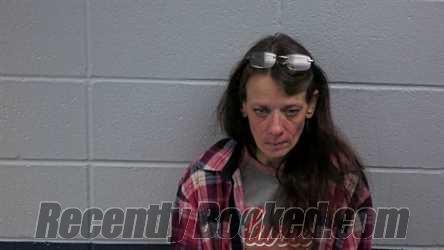 Recent Booking / Mugshot for AMANDA M WILSON in Cleburne County, Arkansas