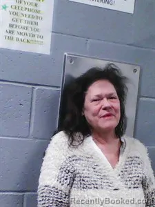 Recent Mugshot Image for Monica Sue Ellis in Franklin County, Arkansas