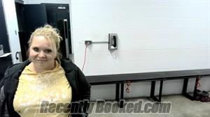 Recent Mugshot Image for Janessa Lynn Holcomb in Fulton County, Arkansas