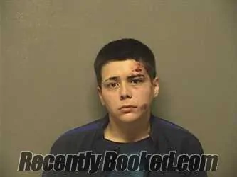 Recent Mugshot Image for MARICELA KAY BUSTOS in Garland County, Arkansas