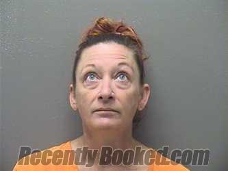 Recent Mugshot Image for CHRISTINA GAYLE HENAGER in Garland County, Arkansas