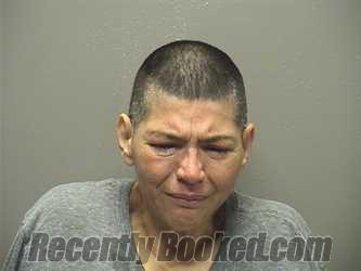 Recent Booking / Mugshot for SYLVIA LOUISE PONCE in Garland County