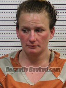Recent Mugshot Image for LEAH HISE in Greene County, Arkansas