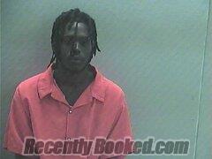 Recent Mugshot Image for Tyler Andy Young in Hempstead County, Arkansas