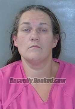 Recent Mugshot Image for Natashia E Allen in Georgetown County, South Carolina