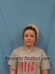 Recent Booking / Mugshot for Holly J Davidson in Lincoln County, Arkansas
