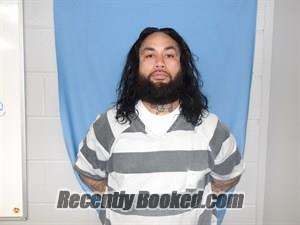 Recent Mugshot Image for Lee Aaron Vaivai in Newton County, Arkansas
